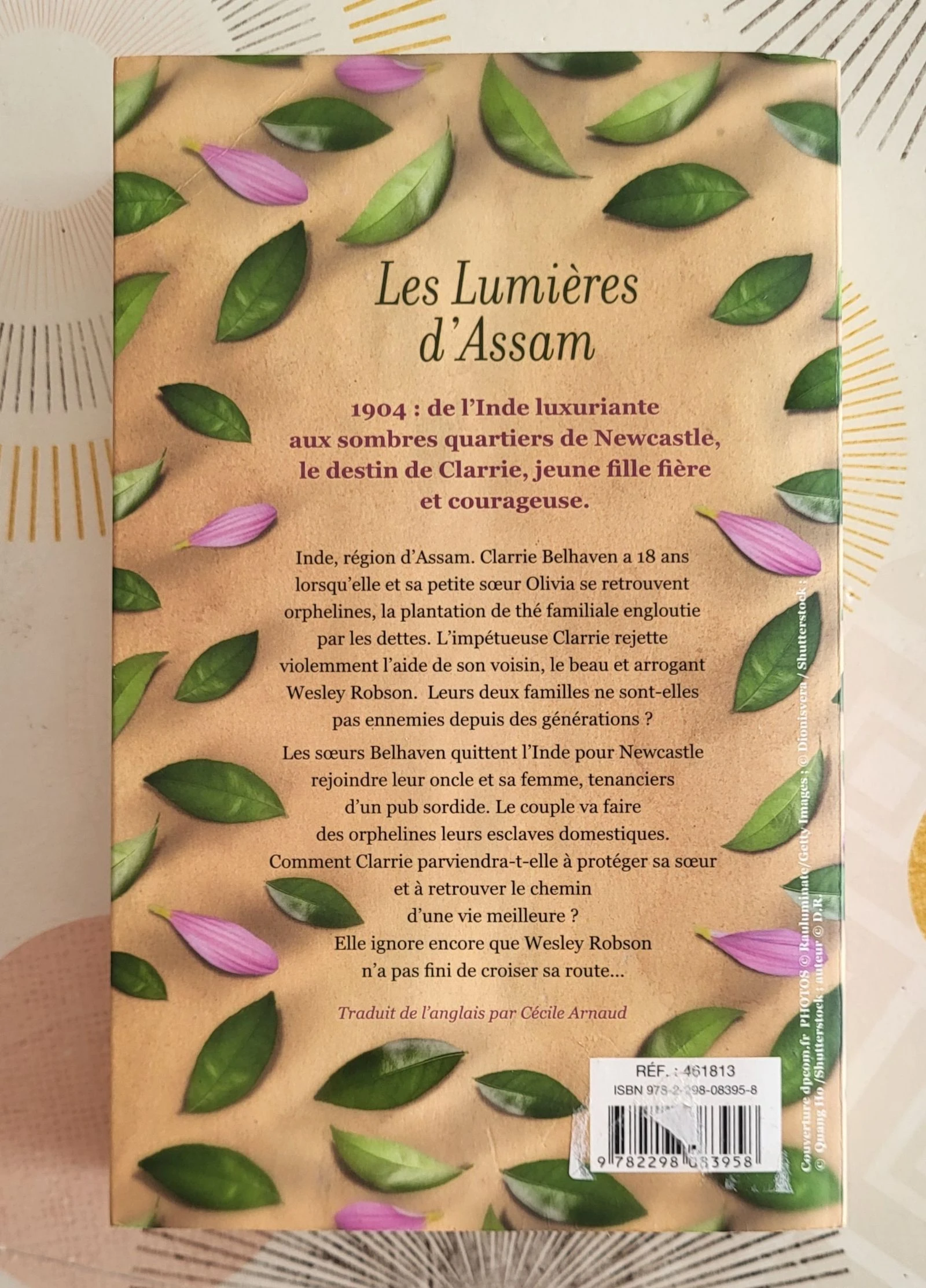 Lote de 9 livros 📚 : Thrillers, Romances etc – photo 8